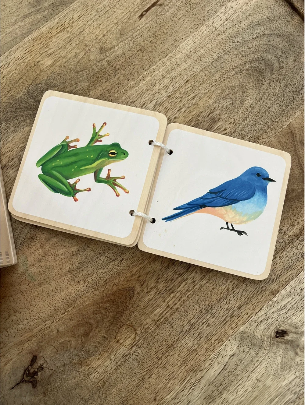 Lovevery Bundle, Hide & Find Drop Box Baby Toy and Colorful Animals Wooden Book
